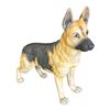 Image 1 : ANDREA BY SADEK - GERMAN SHEPARD