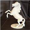 Image 1 : KAISER - WHITE HORSE