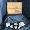 Image 1 : LOT OF NATURAL SEA SHELLS