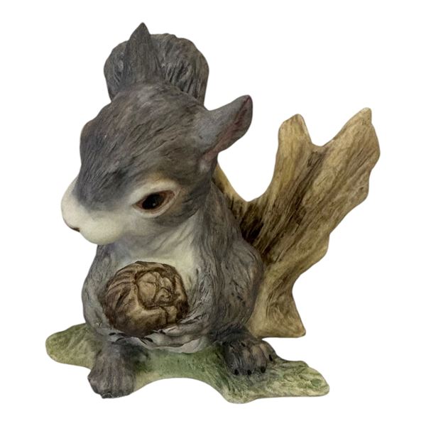 BOEHM - SQUIRREL