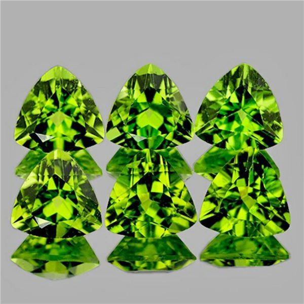 Natural Trillion Green Peridot 6 Pcs {Flawless-VVS1}