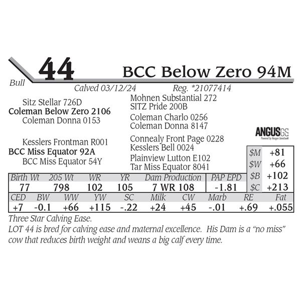 BCC Below Zero 94M