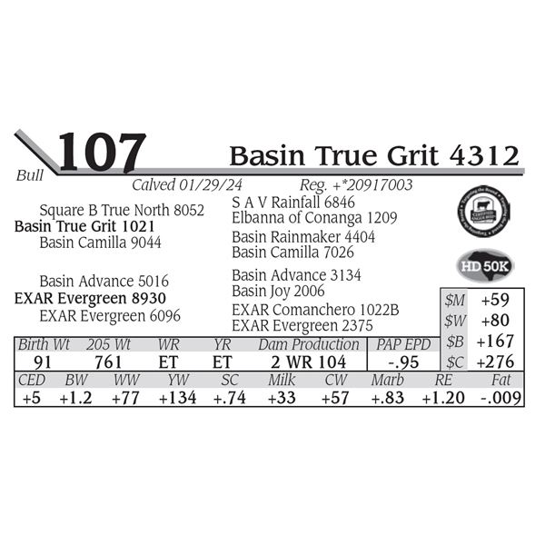 Basin True Grit 4312