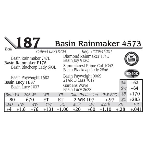 Basin Rainmaker 4573
