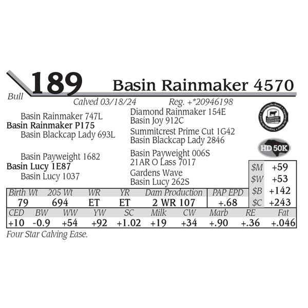 Basin Rainmaker 4570