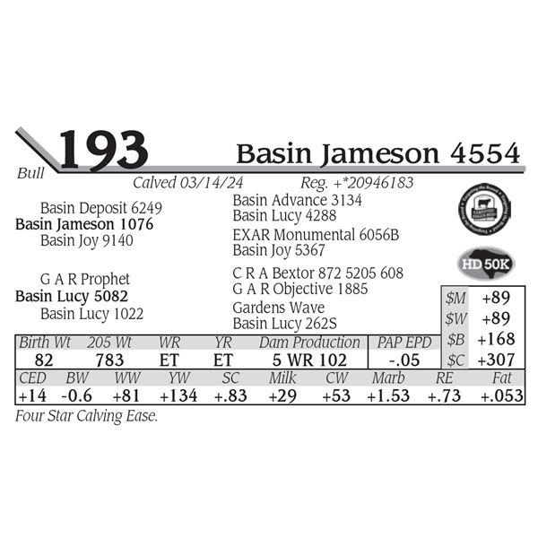 Basin Jameson 4554