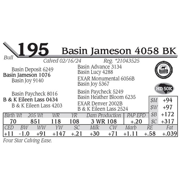 Basin Jameson 4058 BK