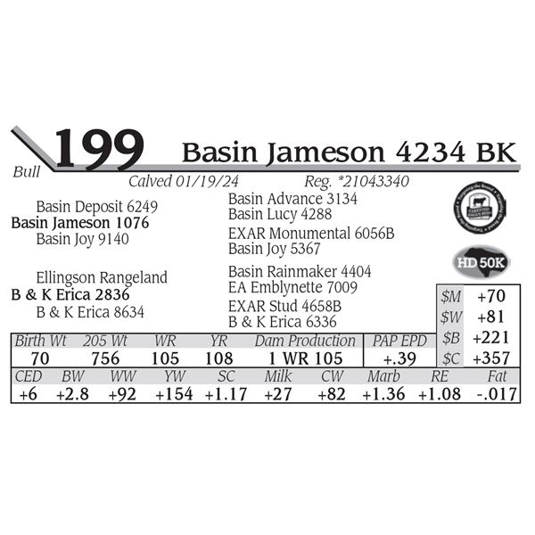 Basin Jameson 4234 BK