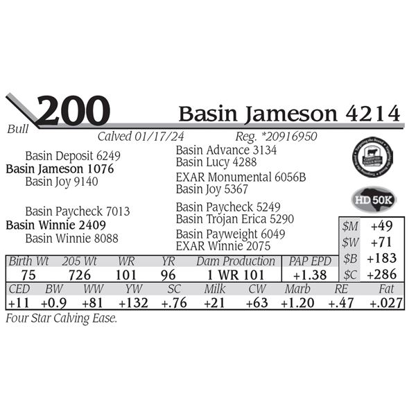 Basin Jameson 4214