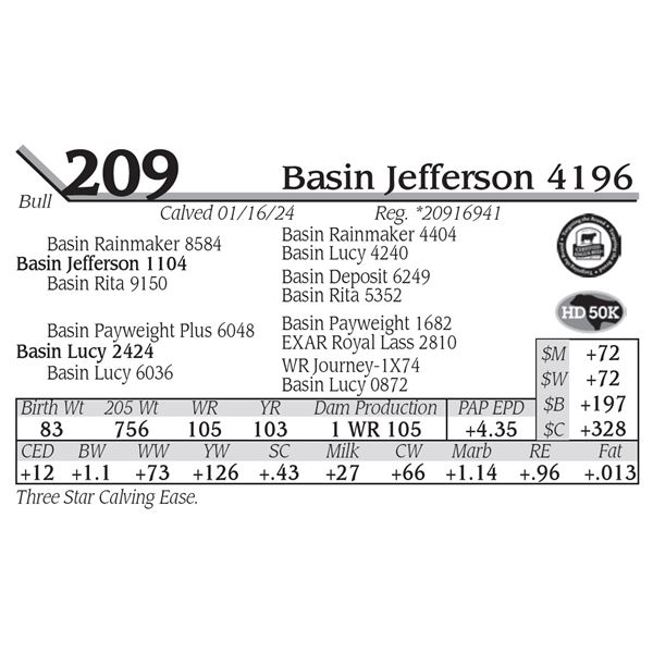 Basin Jefferson 4196