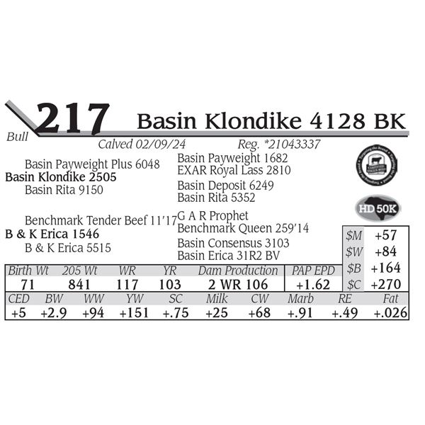 Basin Klondike 4128 BK