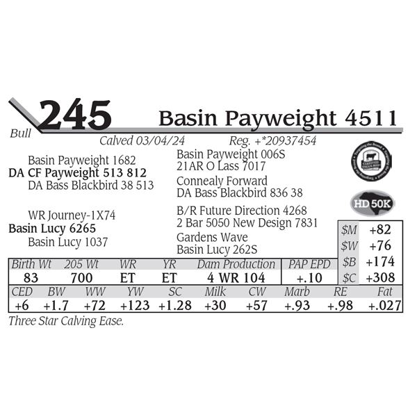 Basin Payweight 4511