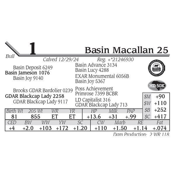 Basin Macallan 25