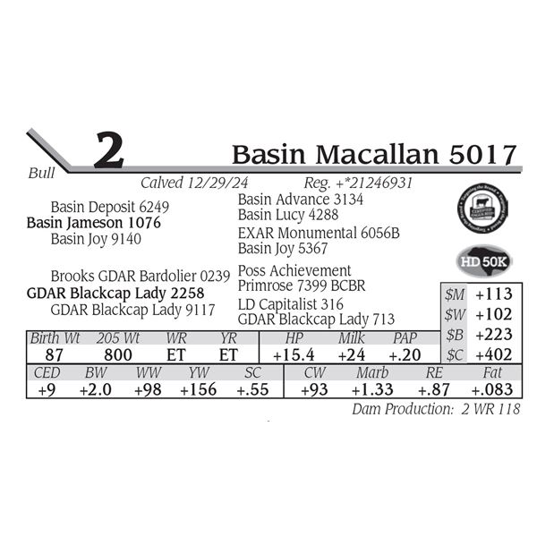 Basin Macallan 5017