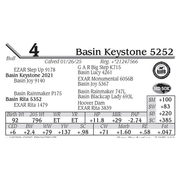 Basin Keystone 5252