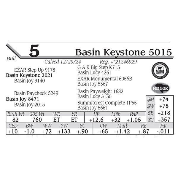Basin Keystone 5015