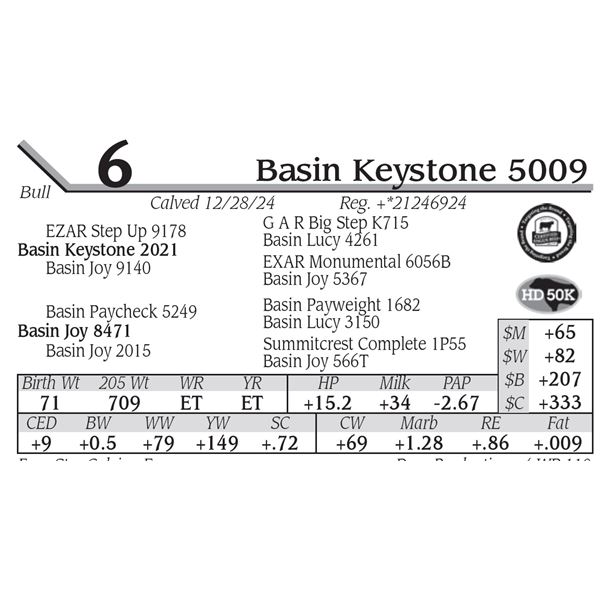 Basin Keystone 5009