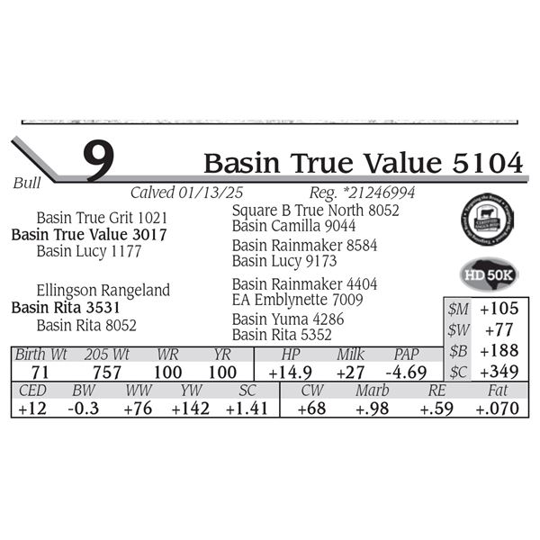 Basin True Value 5104