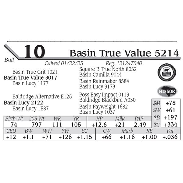 Basin True Value 5214