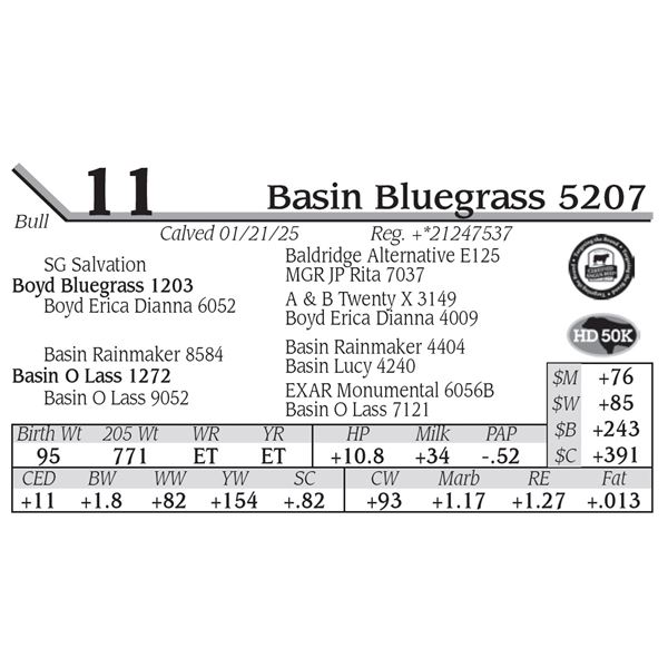 Basin Bluegrass 5207