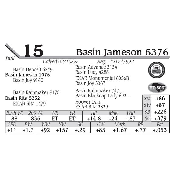 Basin Jameson 5376