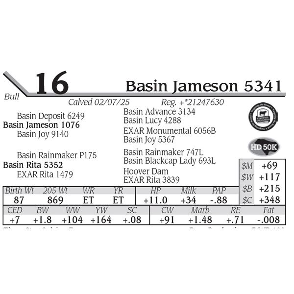 Basin Jameson 5341