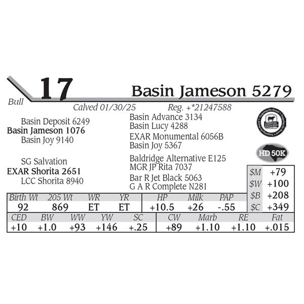 Basin Jameson 5279