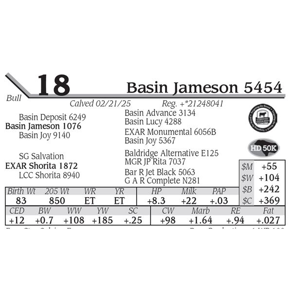 Basin Jameson 5454