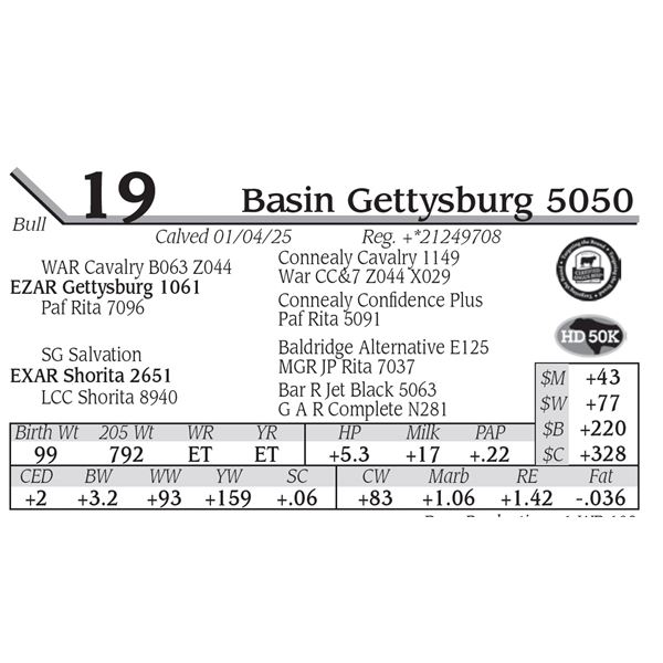 Basin Gettysburg 5050