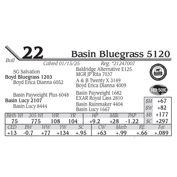 Basin Bluegrass 5120