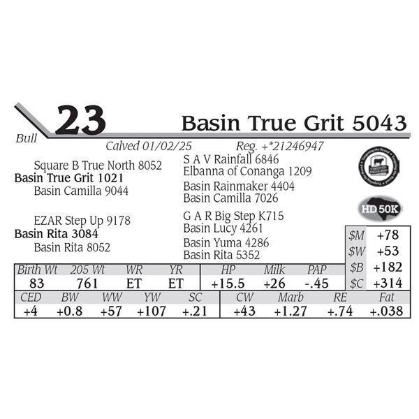 Basin True Grit 5043