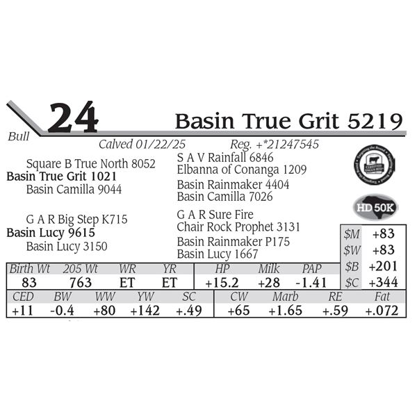 Basin True Grit 5219