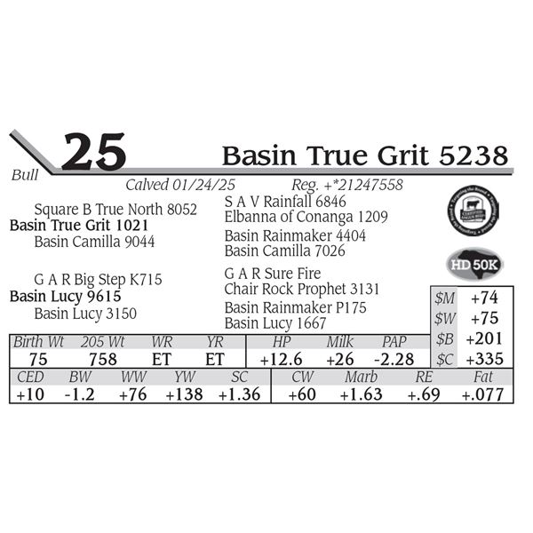 Basin True Grit 5238