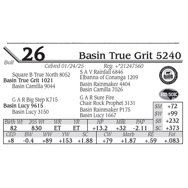 Basin True Grit 5240