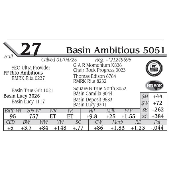 Basin Ambitious 5051