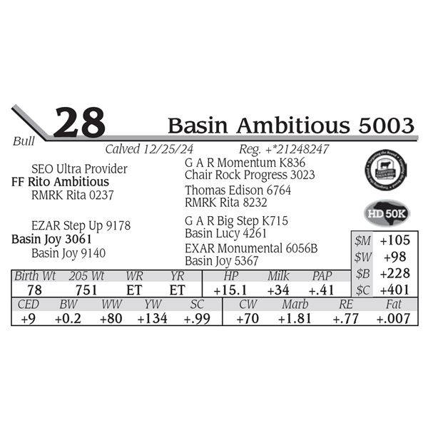 Basin Ambitious 5003