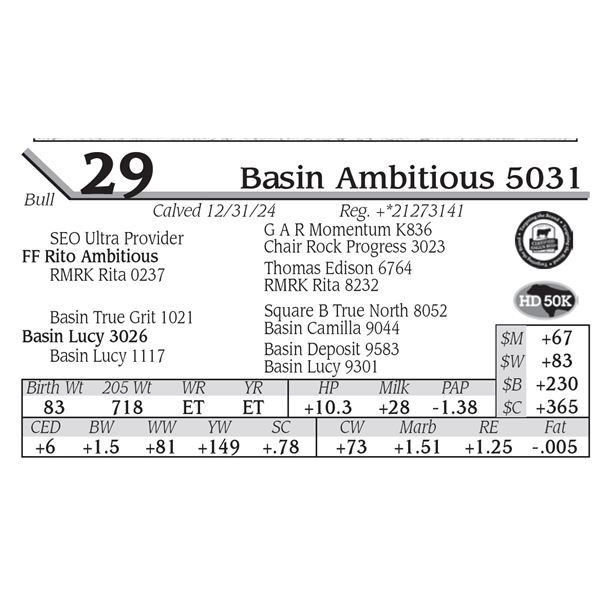 Basin Ambitious 5031
