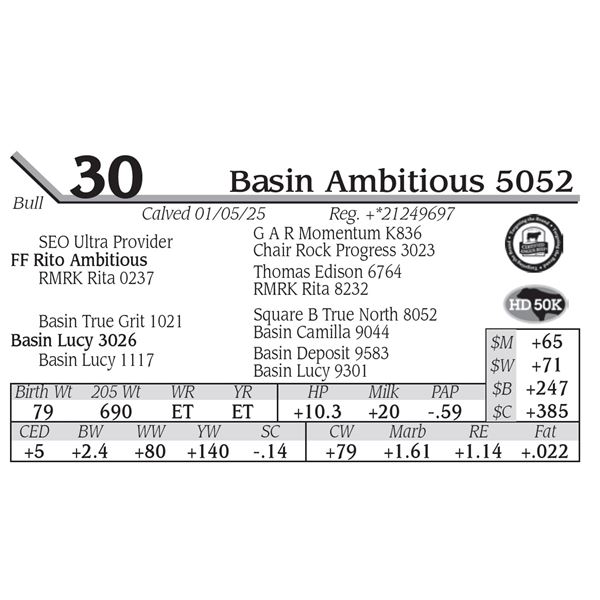 Basin Ambitious 5052