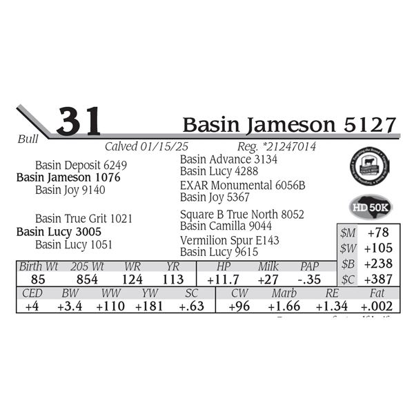 Basin Jameson 5127