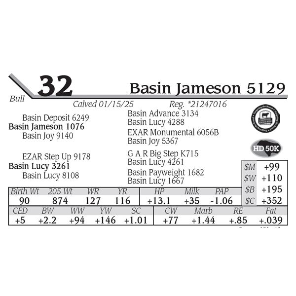 Basin Jameson 5129