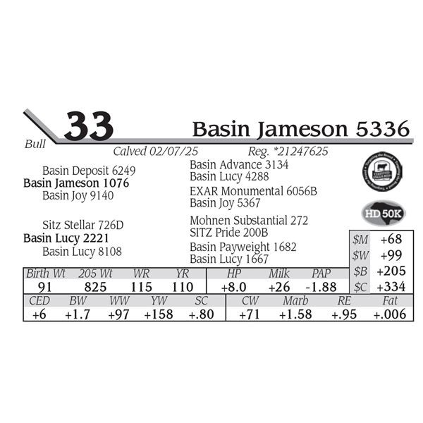 Basin Jameson 5336