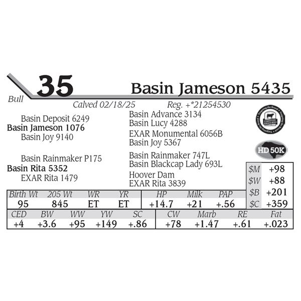 Basin Jameson 5435