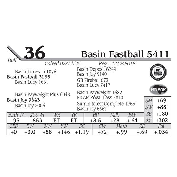 Basin Fastball 5411