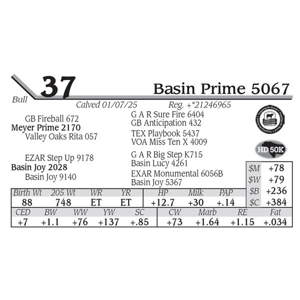 Basin Prime 5067