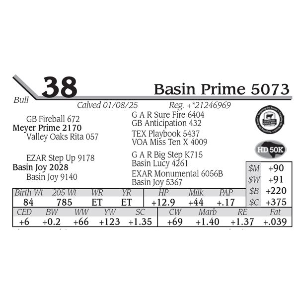 Basin Prime 5073