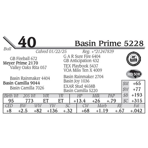 Basin Prime 5228