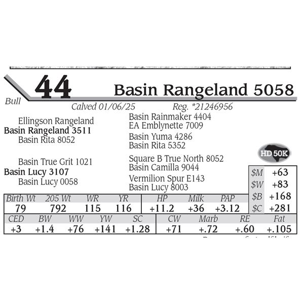 Basin Rangeland 5058