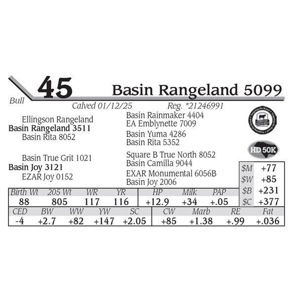 Basin Rangeland 5099
