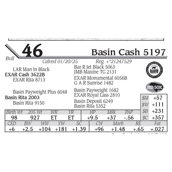 Basin Cash 5197