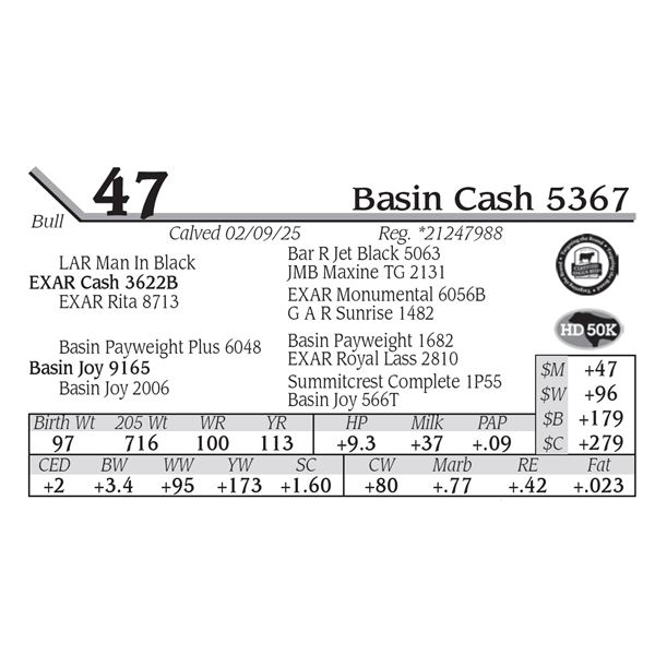 Basin Cash 5367